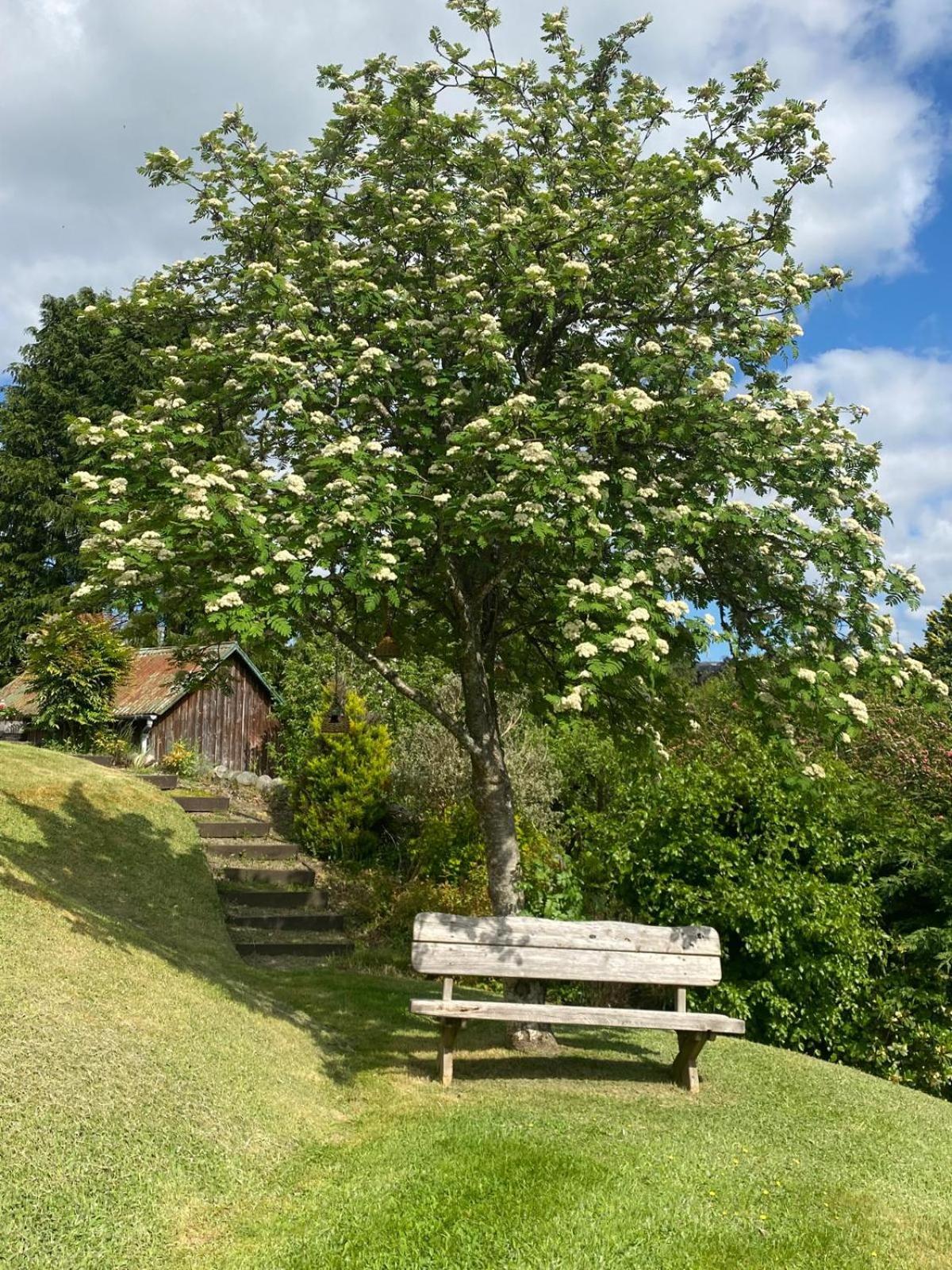 Beinn Bhracaigh Отель типа 